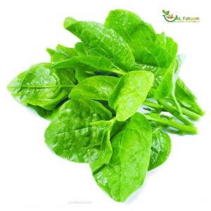 Freshly harvested spinach leaves, showcasing Alfahaam's dedication to superior quality.