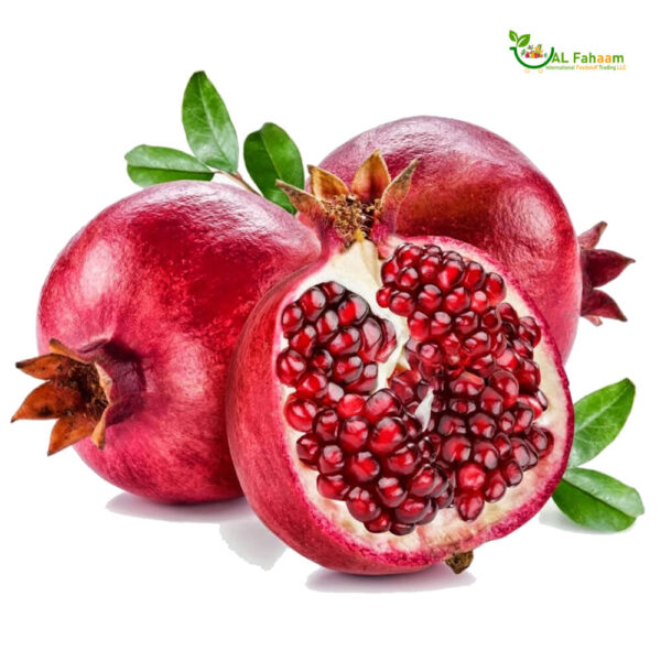 Ripe Egyptian pomegranates freshly harvested in a field.