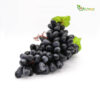 A bunch of ripe, dark Grapes Black from Egypt, grown by alfahaam.