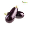 Fresh Brinjal (Dark Purple) from Oman - alfahaam