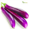 A close-up image of fresh Long Brinjal Purple from Oman, ready to elevate your culinary creations.