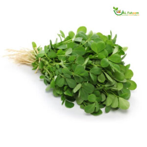 Fresh Methi Leaves (Fenugreek) Bunch - Herbal and aromatic green herbs