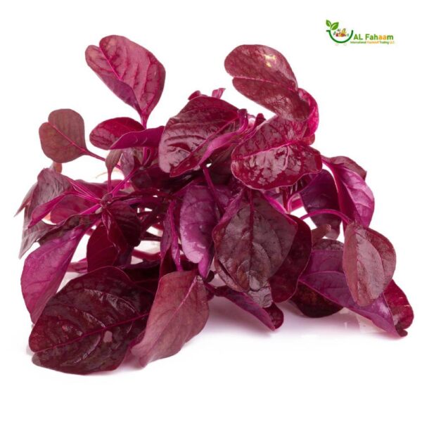 Fresh Spinach Red leaves - rich in color and texture.