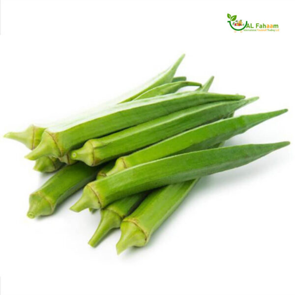 A close-up image of freshly harvested Okra (Bhindi) from India, with vibrant green pods.