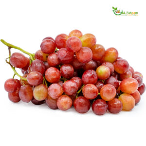 Red Seedless Grapes Bunch - Fresh and Juicy from Egypt